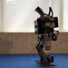Towards Real Robot Learning in the Wild: A Case Study in Bipedal Locomotion