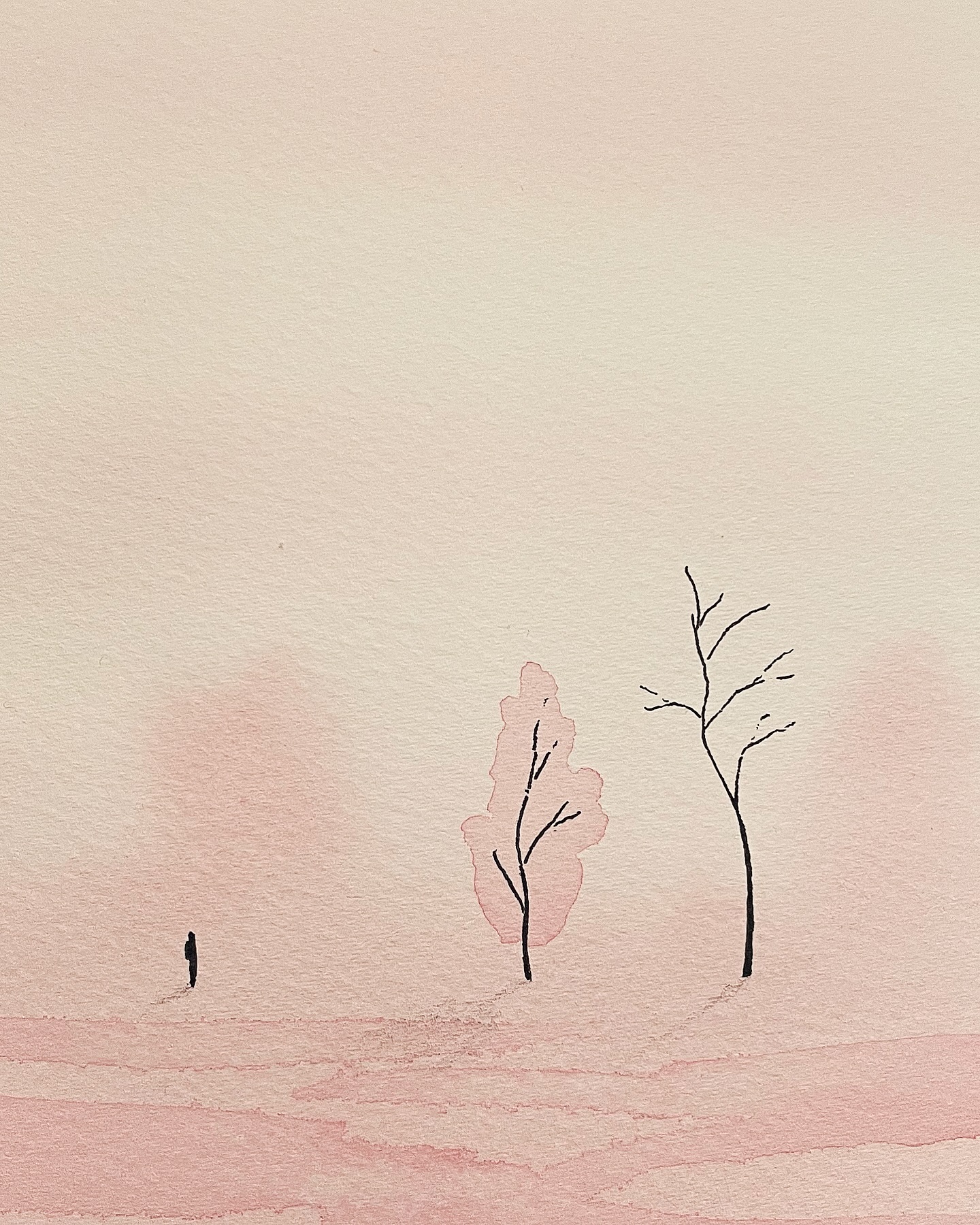 Misty Trees